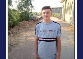 احمد فكري السيد فايز يعمل في شركات التصميم الهندسية