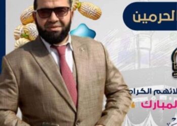 عبد الناصر عاشور الفيومي