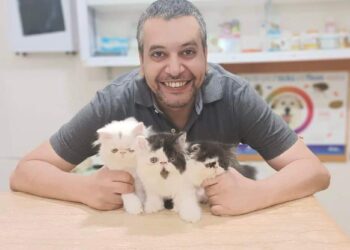 عصام الزيات: بصمة إنسانية تحملها قلوب القطط والمجتمع