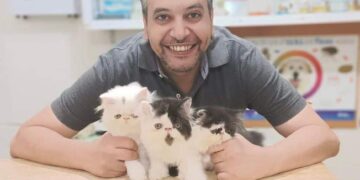 عصام الزيات: بصمة إنسانية تحملها قلوب القطط والمجتمع