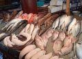 أسعار السمك تتغير اليوم الاثنين بسوق العبور: انخفاض البلطي وارتفاع الجمبري