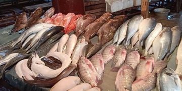 أسعار السمك تتغير اليوم الاثنين بسوق العبور: انخفاض البلطي وارتفاع الجمبري