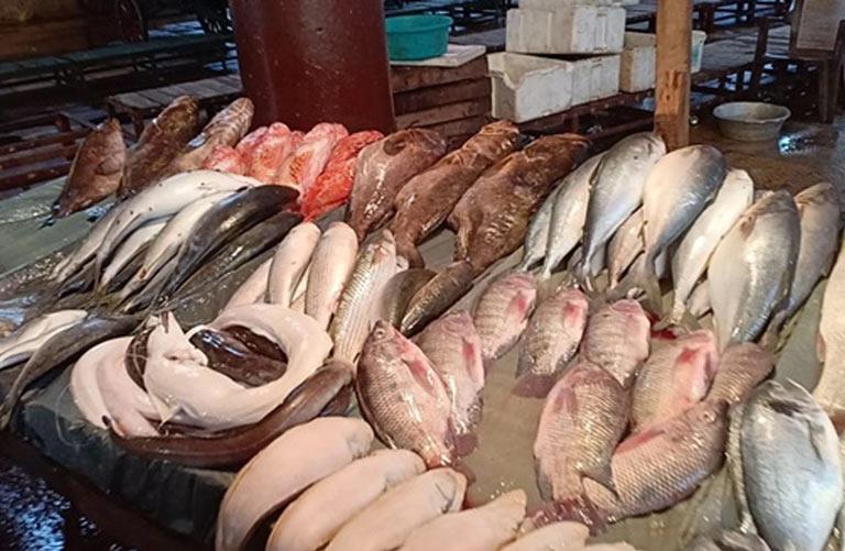 أسعار السمك تتغير اليوم الاثنين بسوق العبور: انخفاض البلطي وارتفاع الجمبري
